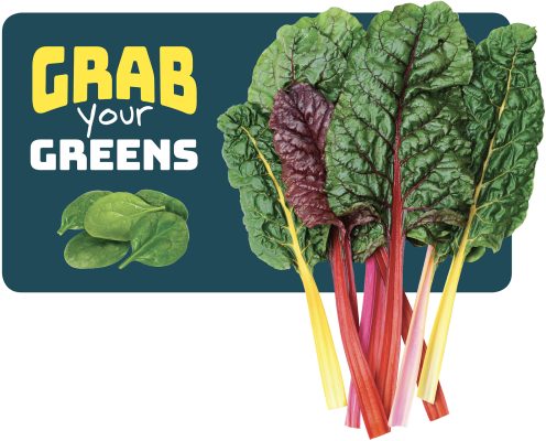 Greens Activity Guide