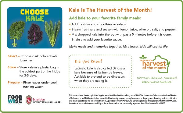 Kale Newsletter Insert