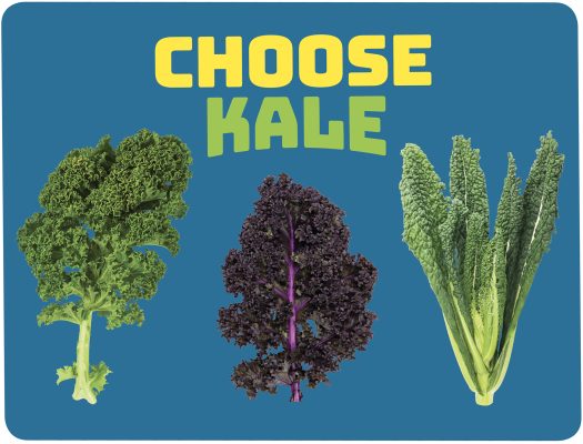 Kale Activity Guide