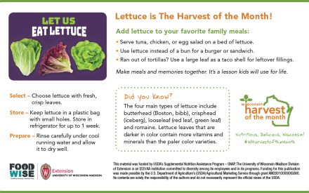 Lettuce Newsletter Insert