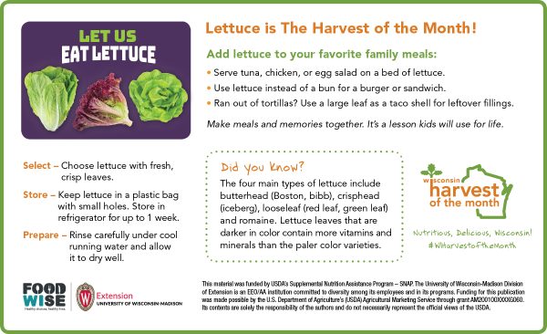 Lettuce Newsletter Insert