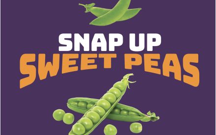 Sweet Peas Poster 18×24