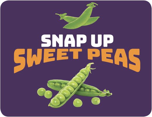 Sweet Peas Activity Guide