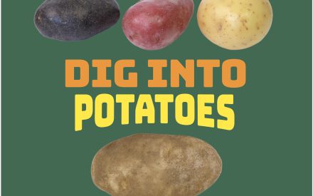 Potatoes Early Childhood Parent Resource