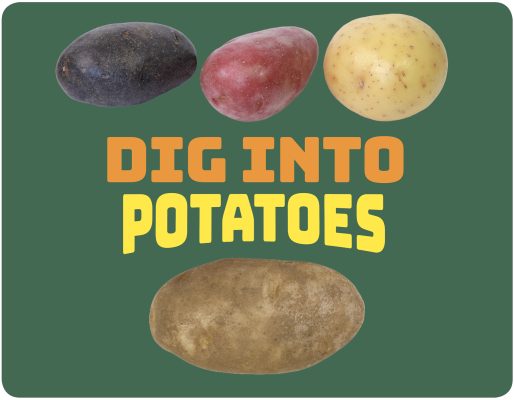 Potatoes Activity Guide
