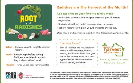 Radish Newsletter Insert