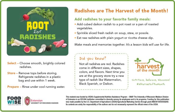 Radish Newsletter Insert