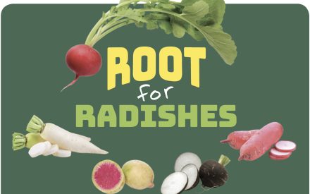 Radish Early Childhood Parent Resource