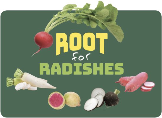 Radish Poster 8.5×11