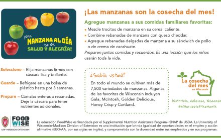 Inserción para el boletín sobre las manzanas