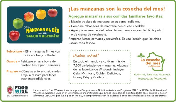 Inserción para el boletín sobre las manzanas
