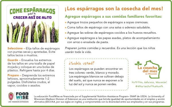 Inserción para el boletín sobre los espárragos