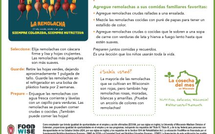 Inserción para el boletín sobre las remolachas
