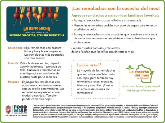 Inserción para el boletín sobre las remolachas