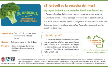 Inserción para el boletín sobre el brócoli