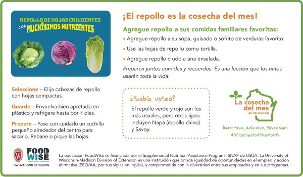 Inserción para el boletín sobre el repollo