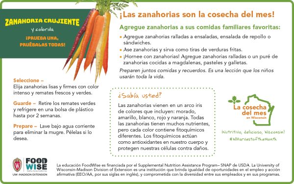 Inserción para el boletín sobre las zanahorias