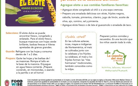 Inserción para el boletín sobre de elote