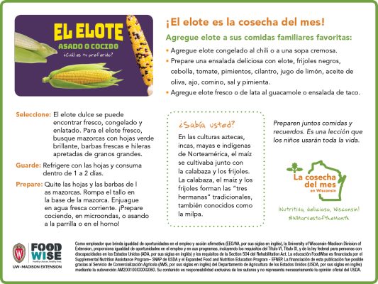 Inserción para el boletín sobre de elote