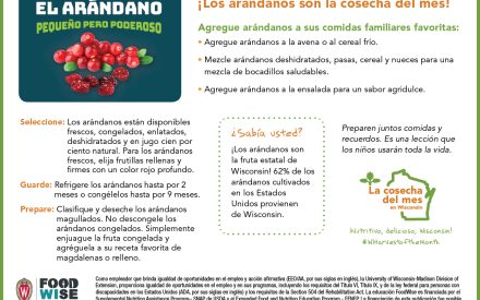 Inserción para el boletín sobre las arándanos