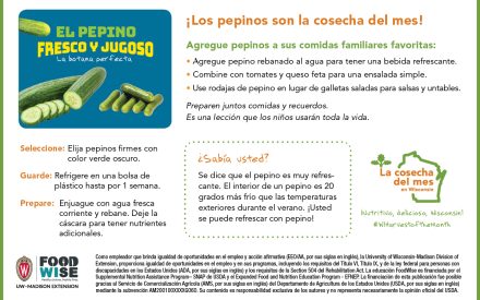 Inserción para el boletín sobre el pepino