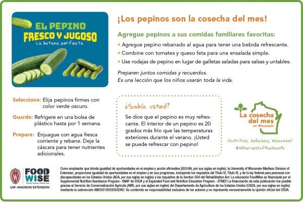Inserción para el boletín sobre el pepino