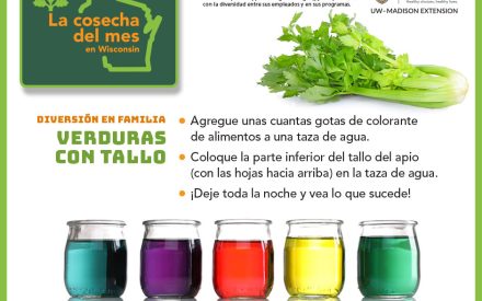 Los espárragos Facebook 1