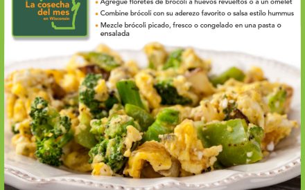 El brócoli Facebook 3