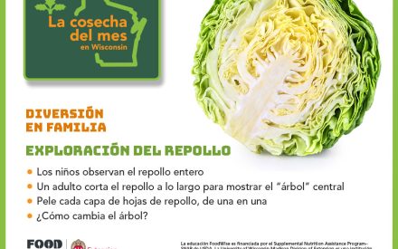 El repollo Facebook 1