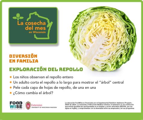 El repollo Facebook 1