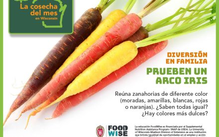 Las zanahorias Facebook 1