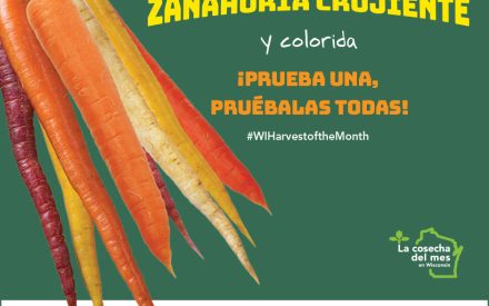 Las zanahorias Facebook 2