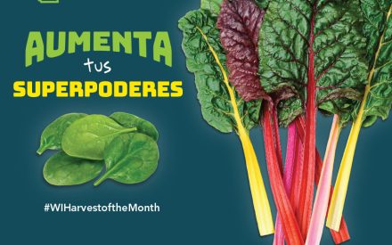 Las verduras de hoja verde Facebook 2