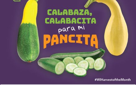 Las calabazas de verano Facebook 2