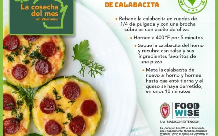 Las calabazas de verano Facebook 3