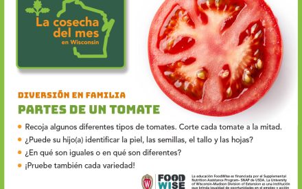 Los tomates Facebook 1