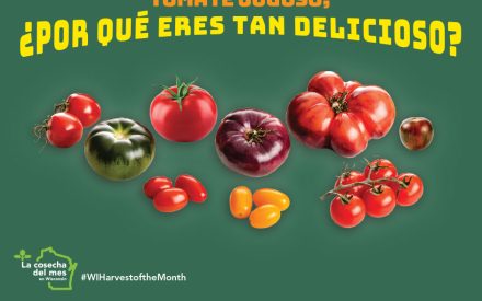 Los tomates Facebook 2
