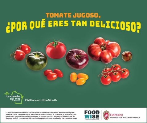 Tarjeta de tomate