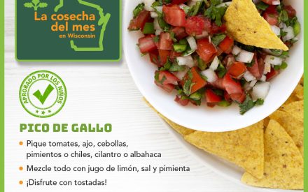 Los tomates Facebook 3