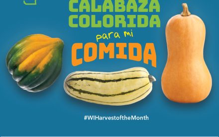 Las calabazas de invierno Facebook 2