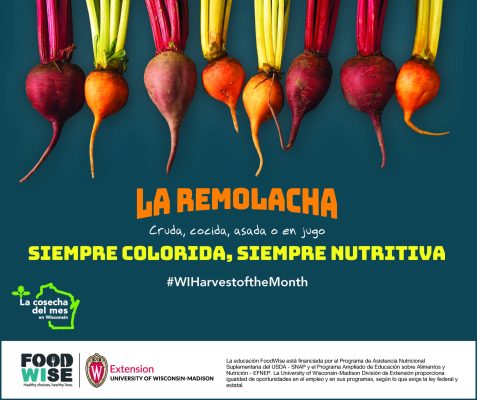 Tarjeta de remolacha