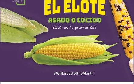 El elote Facebook 2