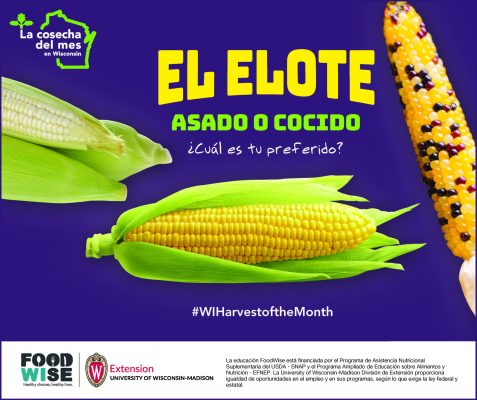 Cartelón de elote 11×17