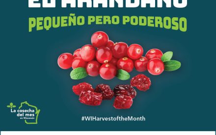 El arándano Facebook 2