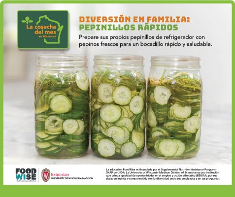 El pepino Facebook 1