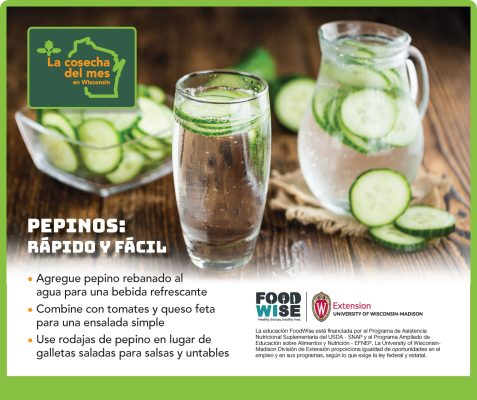 El pepino Facebook 3