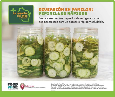El pepino Facebook 1