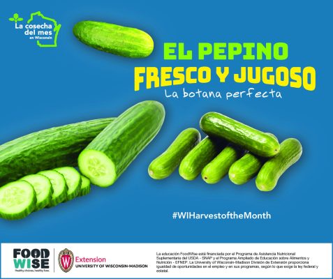 Tarjeta de pepino