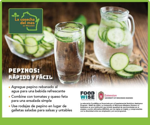 El pepino Facebook 3