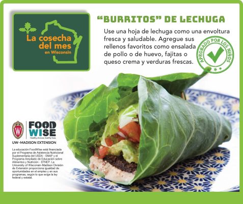 La lechuga Facebook 3